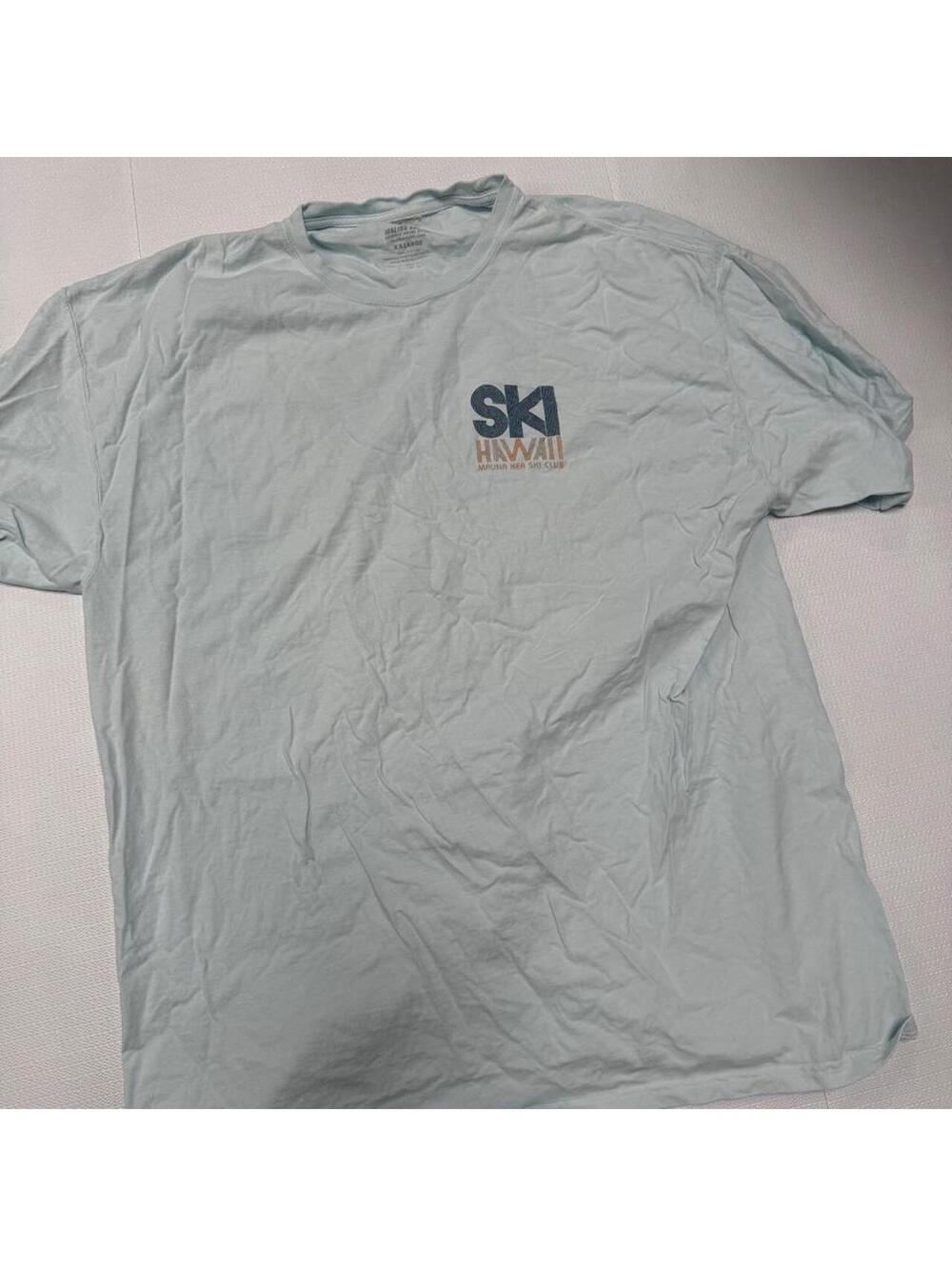 Unbranded Men's Blue and Green Tshirt